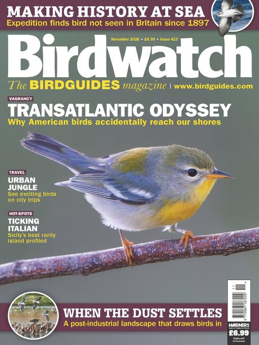 Cover image for Birdwatch